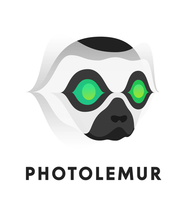 photolemur 2.0.4 patch